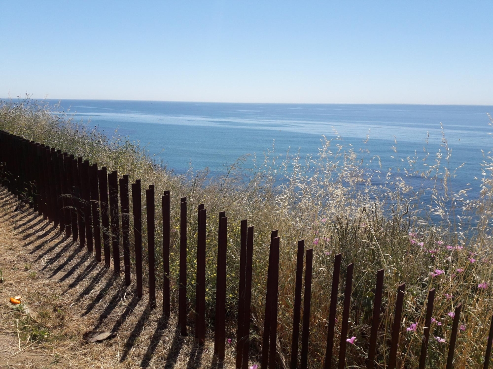 Paling Fencing