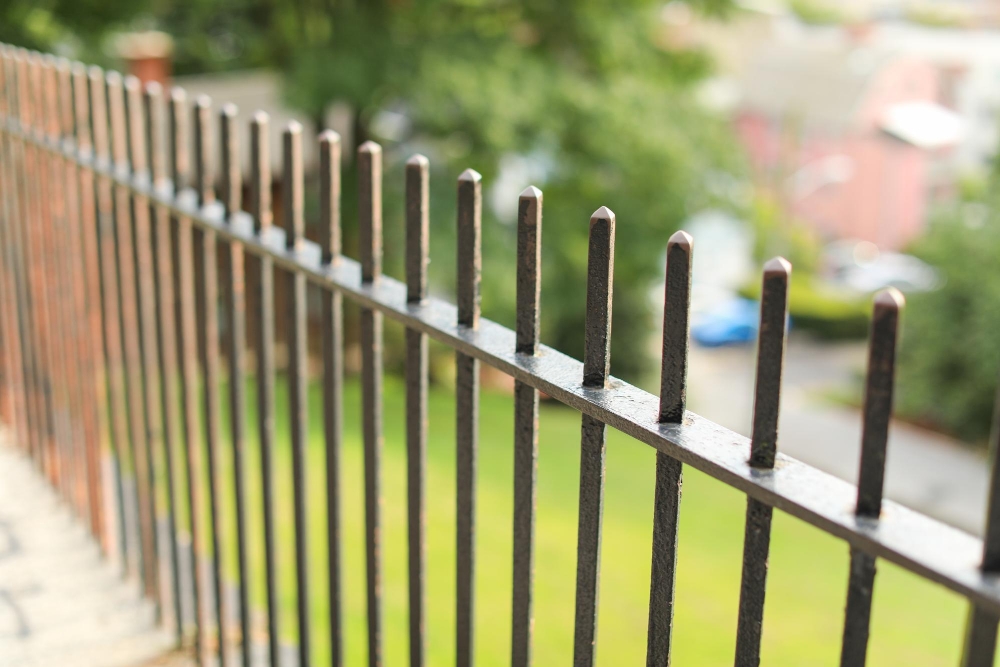 Paling Fencing