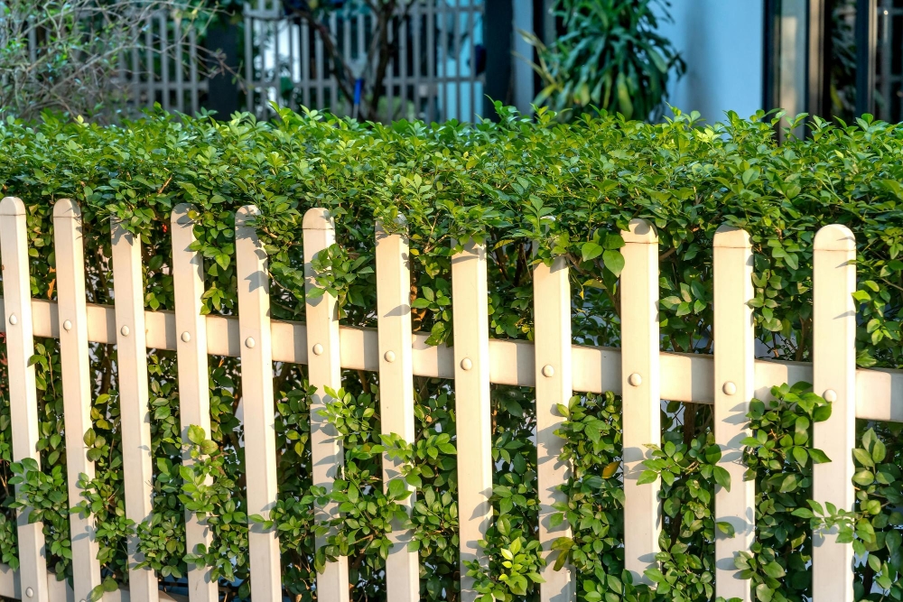 Picket Fencing