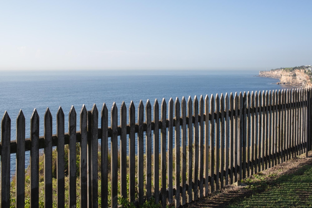 Paling Fencing